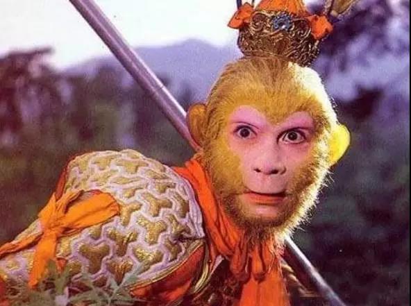 唐僧四人合伙開餐廳為啥失敗了？