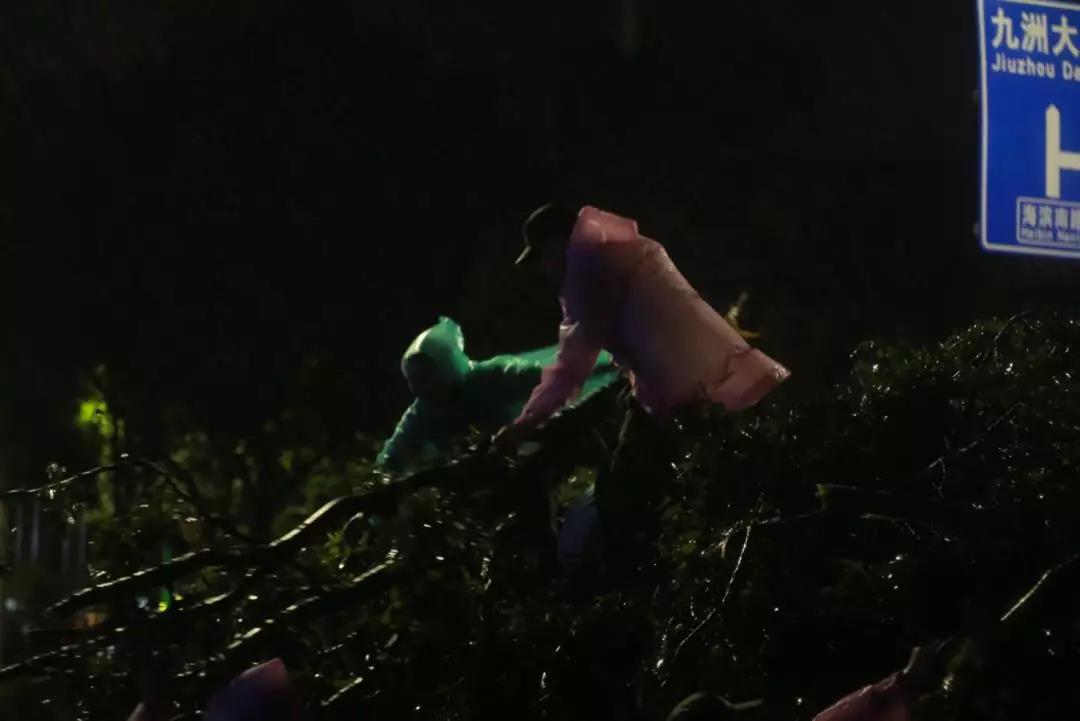 珠海不眠夜，格力整晚陪伴……